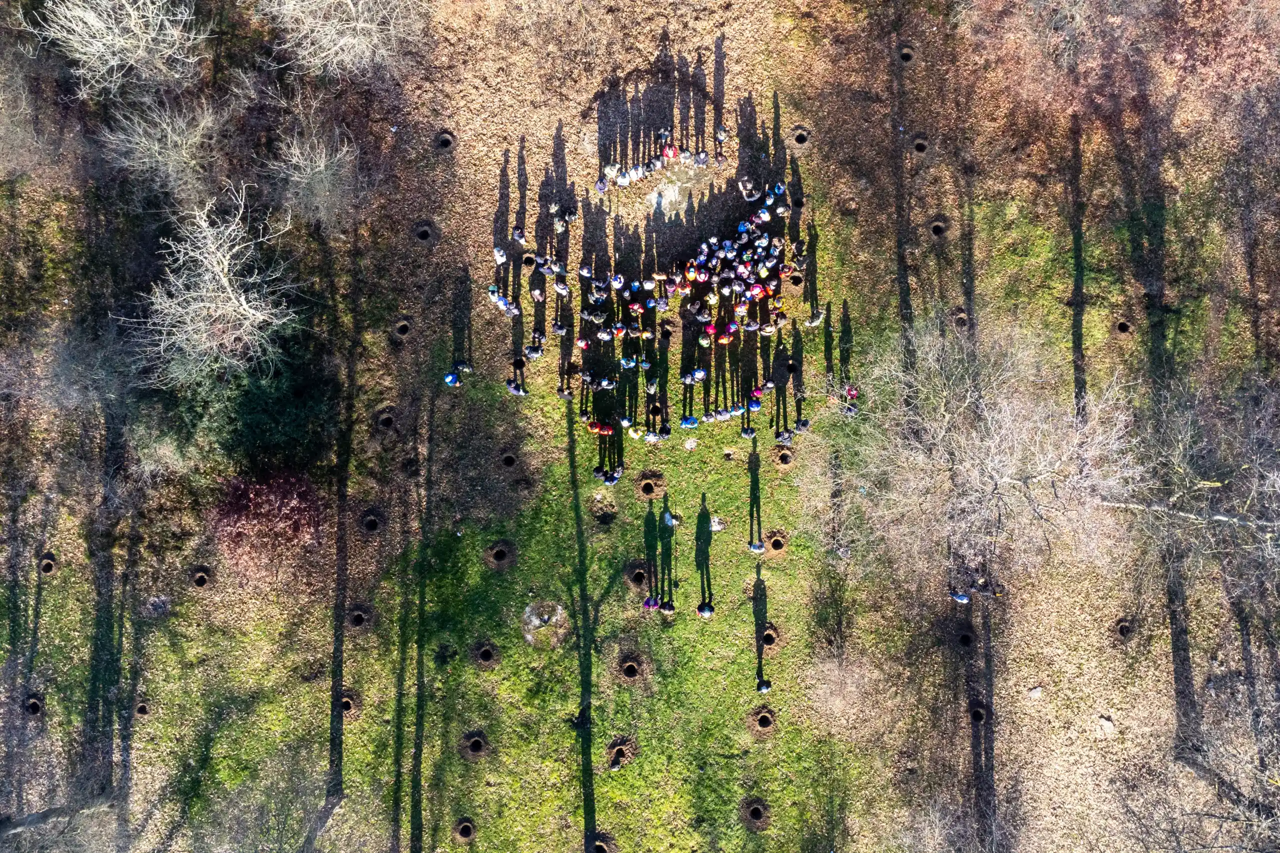 An aerial perspective shows a group of children planting saplings amidst tree shadows and scattered holes in a sunlit woodland area. Photograph by Mohammad Ataei.