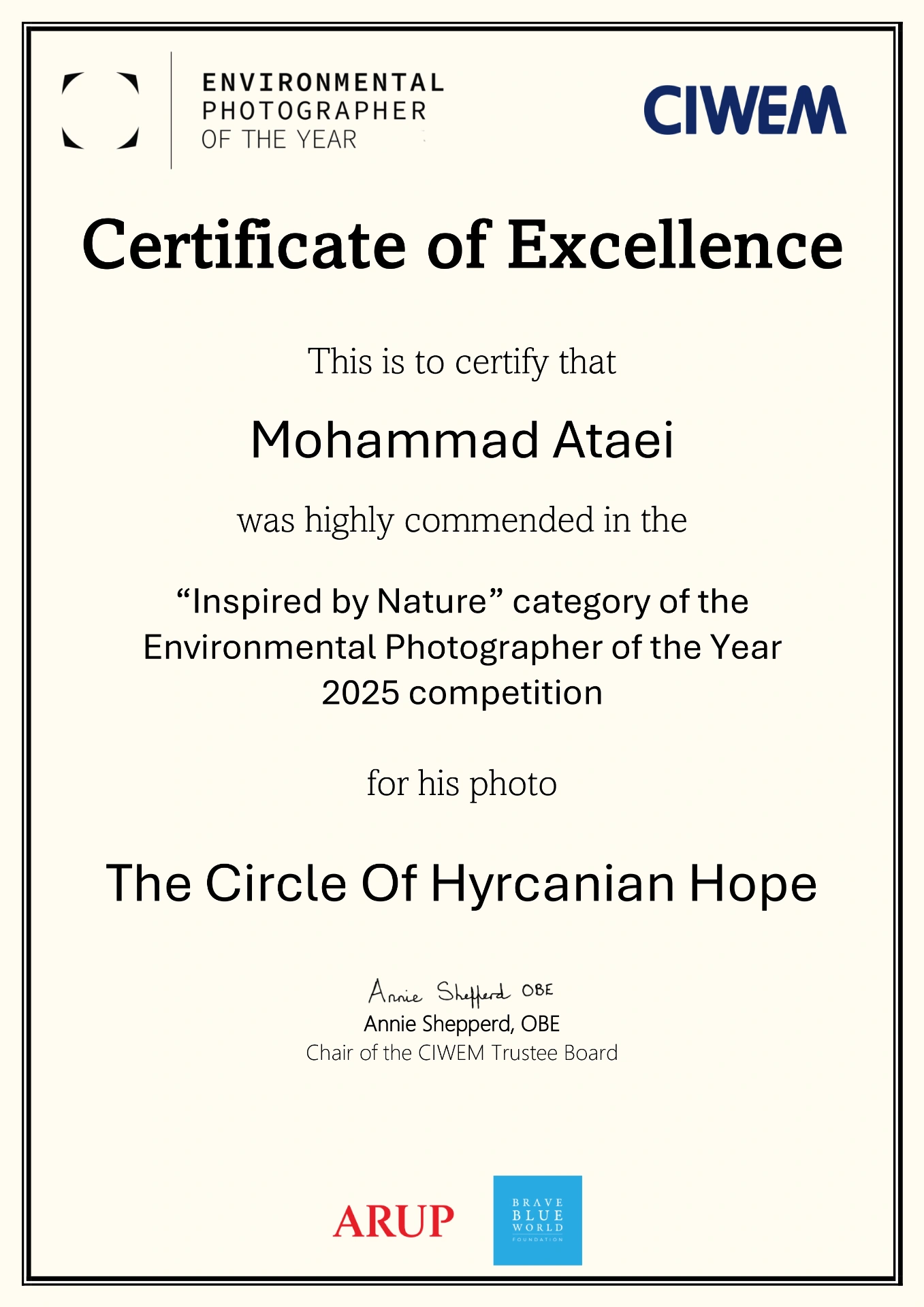 Certificate of Excellence