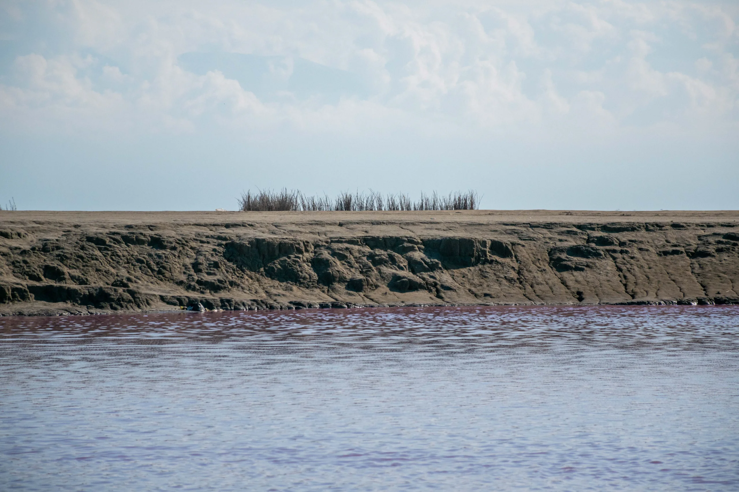 A horizontal landscape photograph showing a textured earthy bank with sparse tall grass at the edge of a rippled body of water under a cloudy sky. Photograph by Mohammad Ataei.