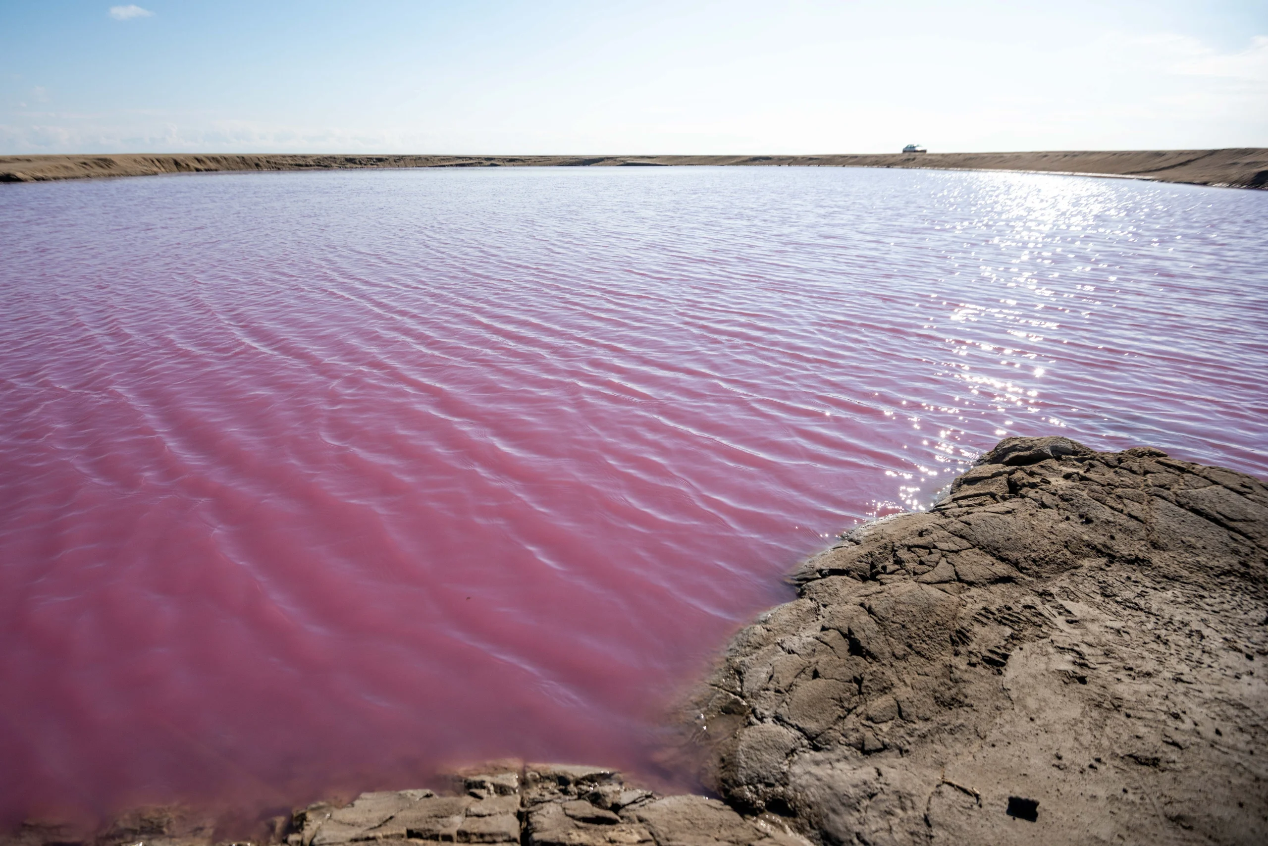 A wide-angle landscape shot of the pink-colored waters of Naftlijeh mud volcano with cracked muddy shores under a bright sky. Photograph by Mohammad Ataei.