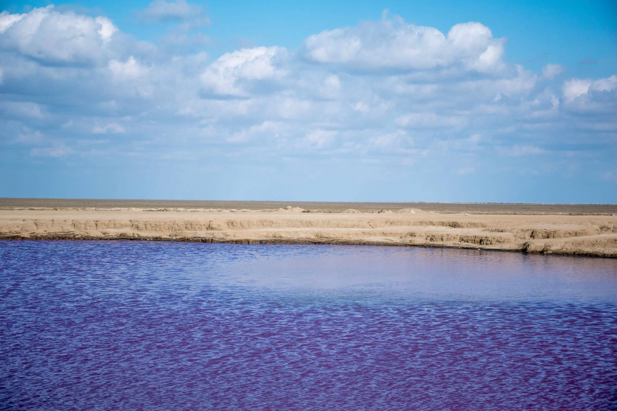 A wide landscape photograph showing the pink and purple waters of the Naftlijeh mud volcano under a bright blue sky with white clouds, bordered by flat, sandy terrain. Photograph by Mohammad Ataei.