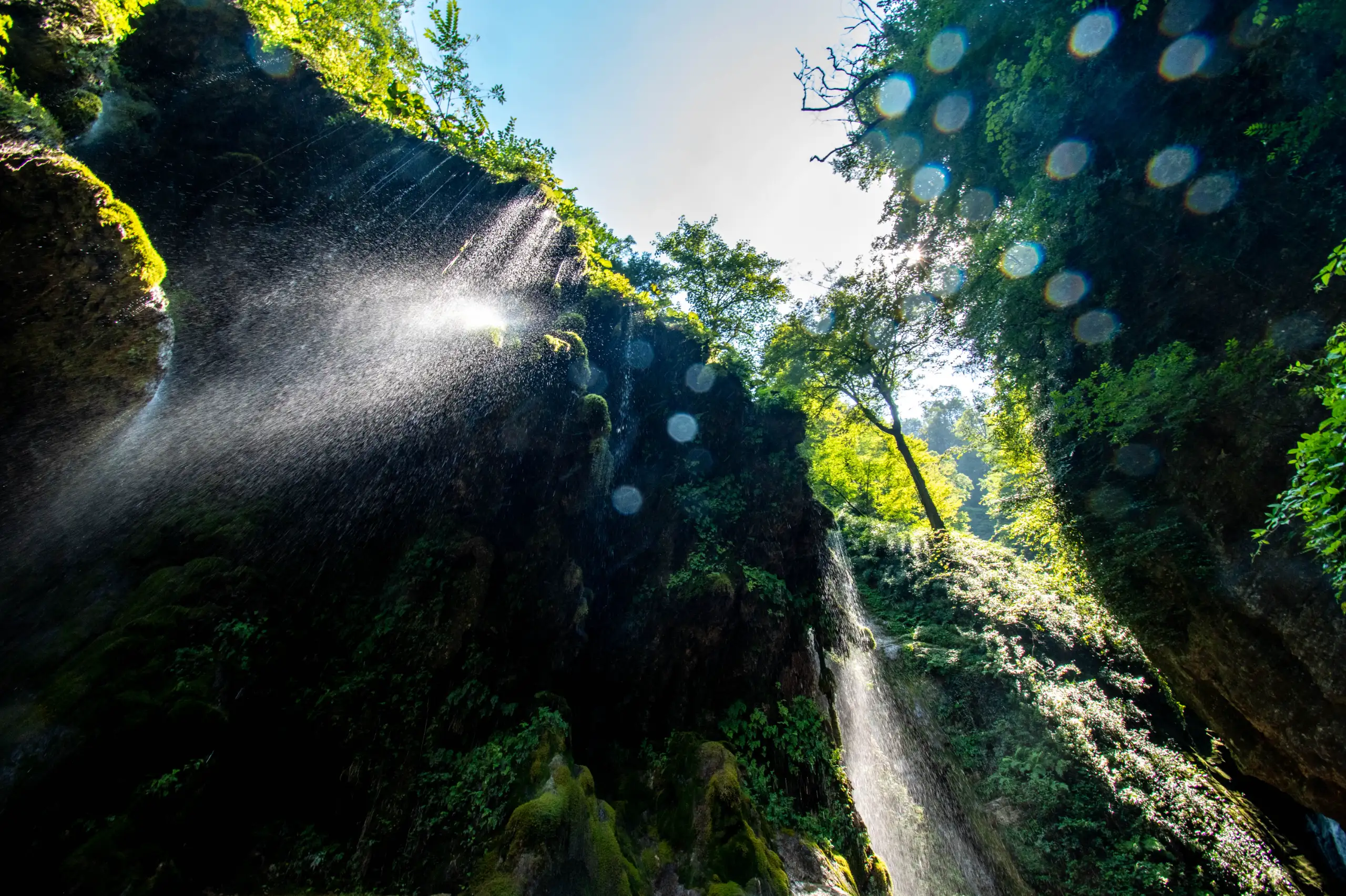 Low-angle view of water cascading down lush, mossy green cliffs with sunlight filtering through surrounding trees and visible lens flare. Photograph by Mohammad Ataei.