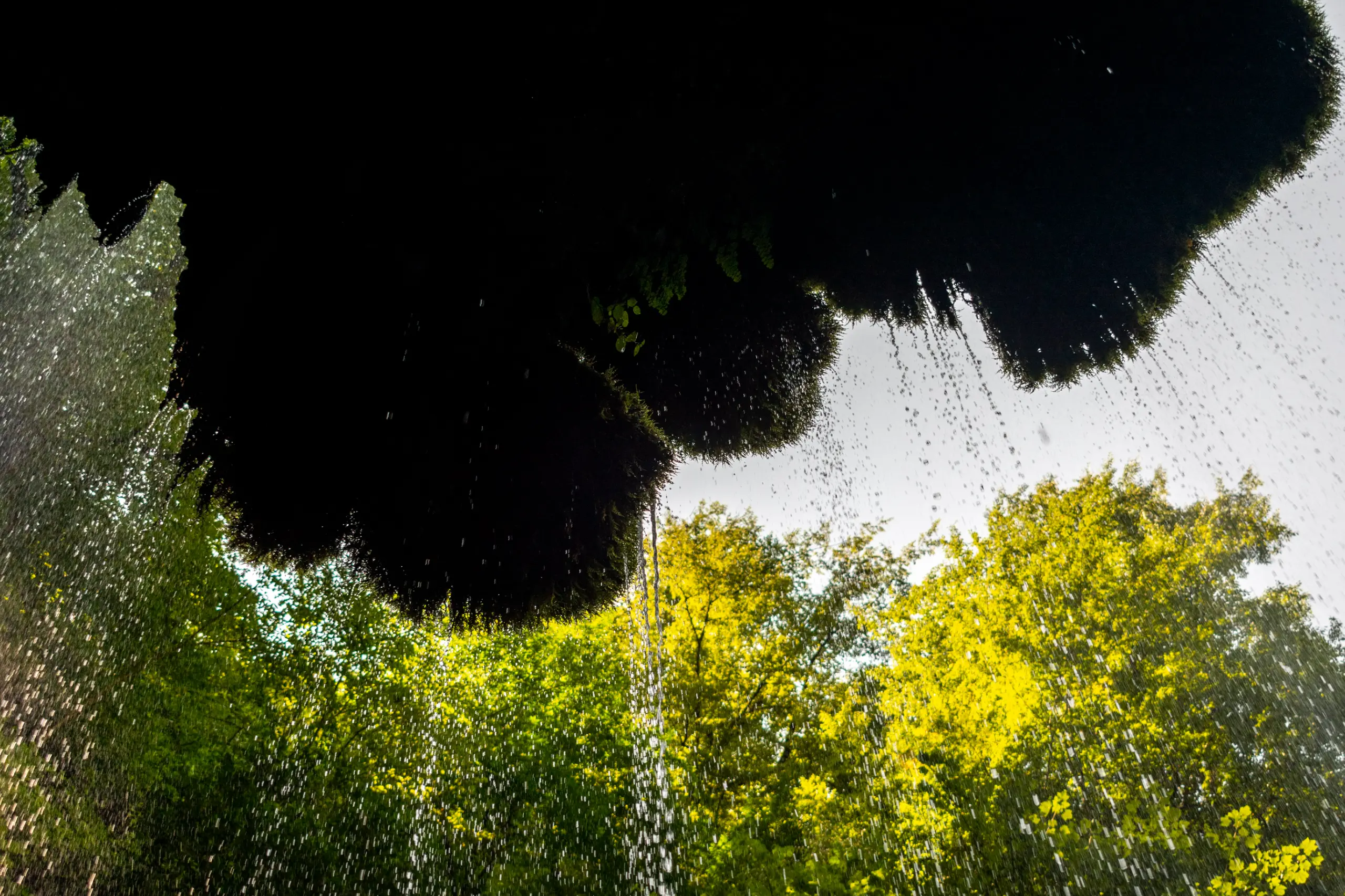 A low-angle view looking up from beneath a dark mossy overhang as water droplets cascade downward, revealing bright green forest canopy against a pale sky. Photograph by Mohammad Ataei.