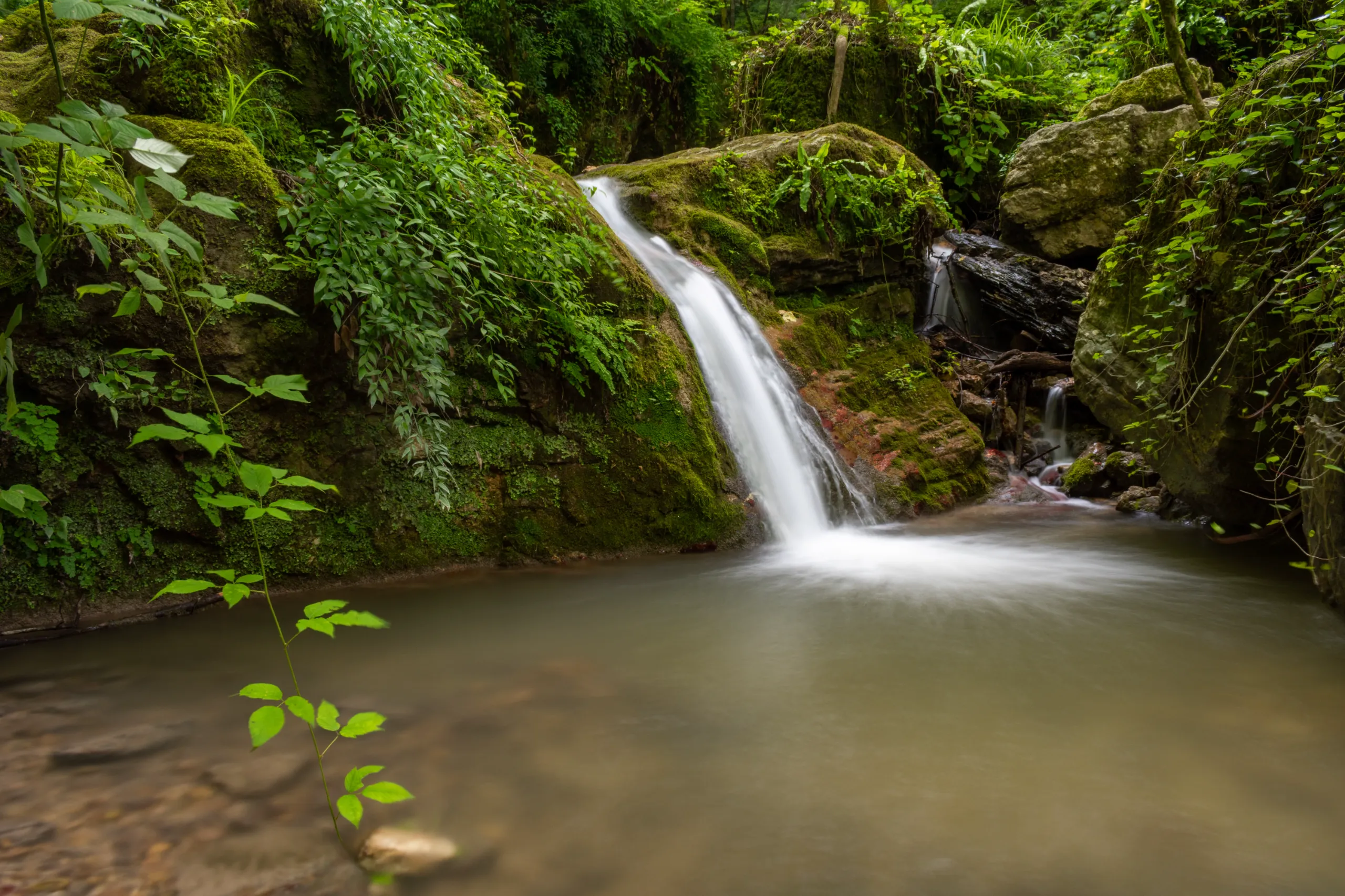 A long-exposure photograph of a small waterfall cascading into a calm pool, surrounded by lush green moss and dense foliage in Gorgan, Golestan Province, Iran. Photograph by Mohammad Ataei.