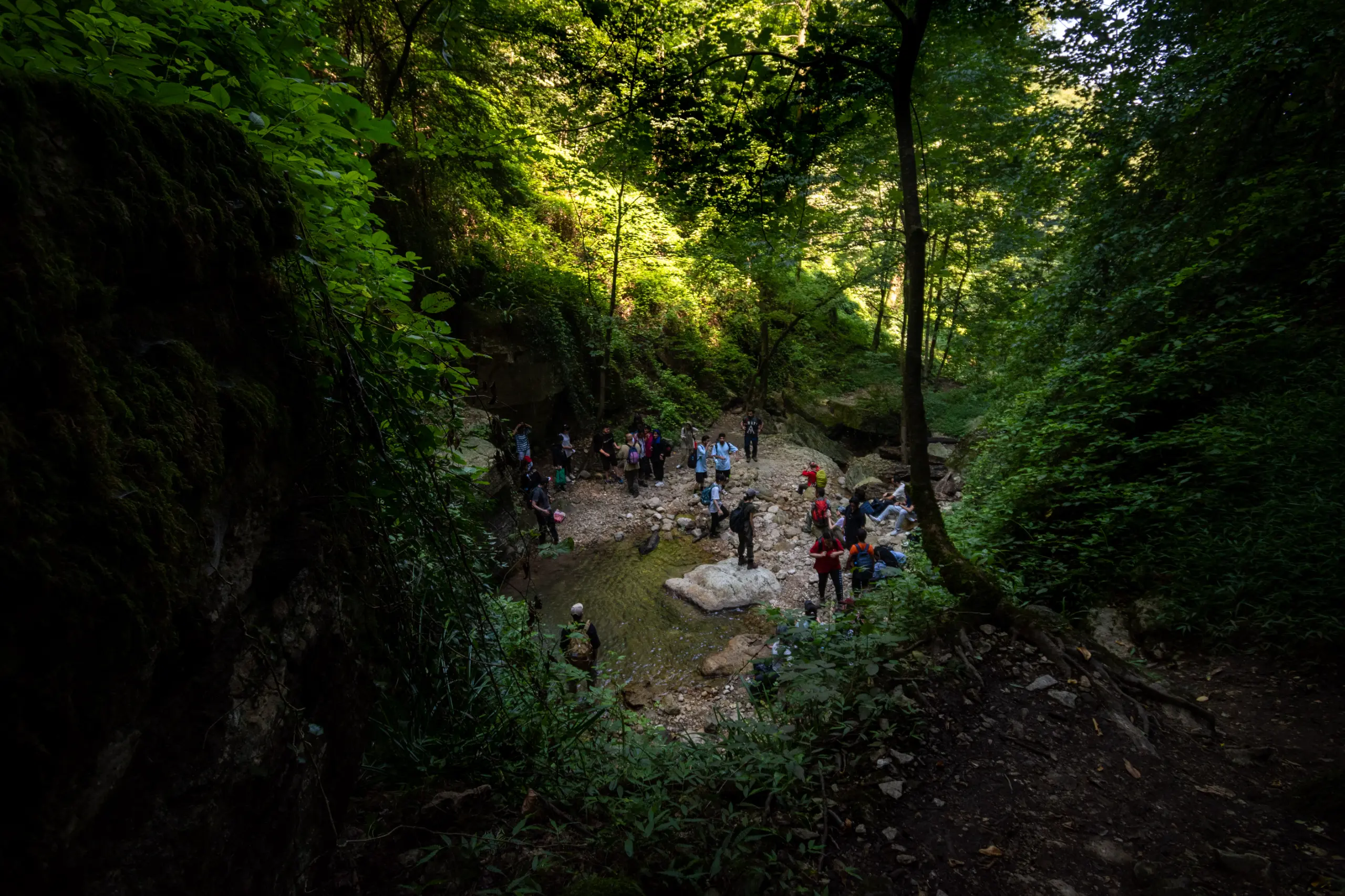 A group of hikers and tourists resting near a small stream and waterfall in a dense, green forest canyon. Photograph by Mohammad Ataei.
