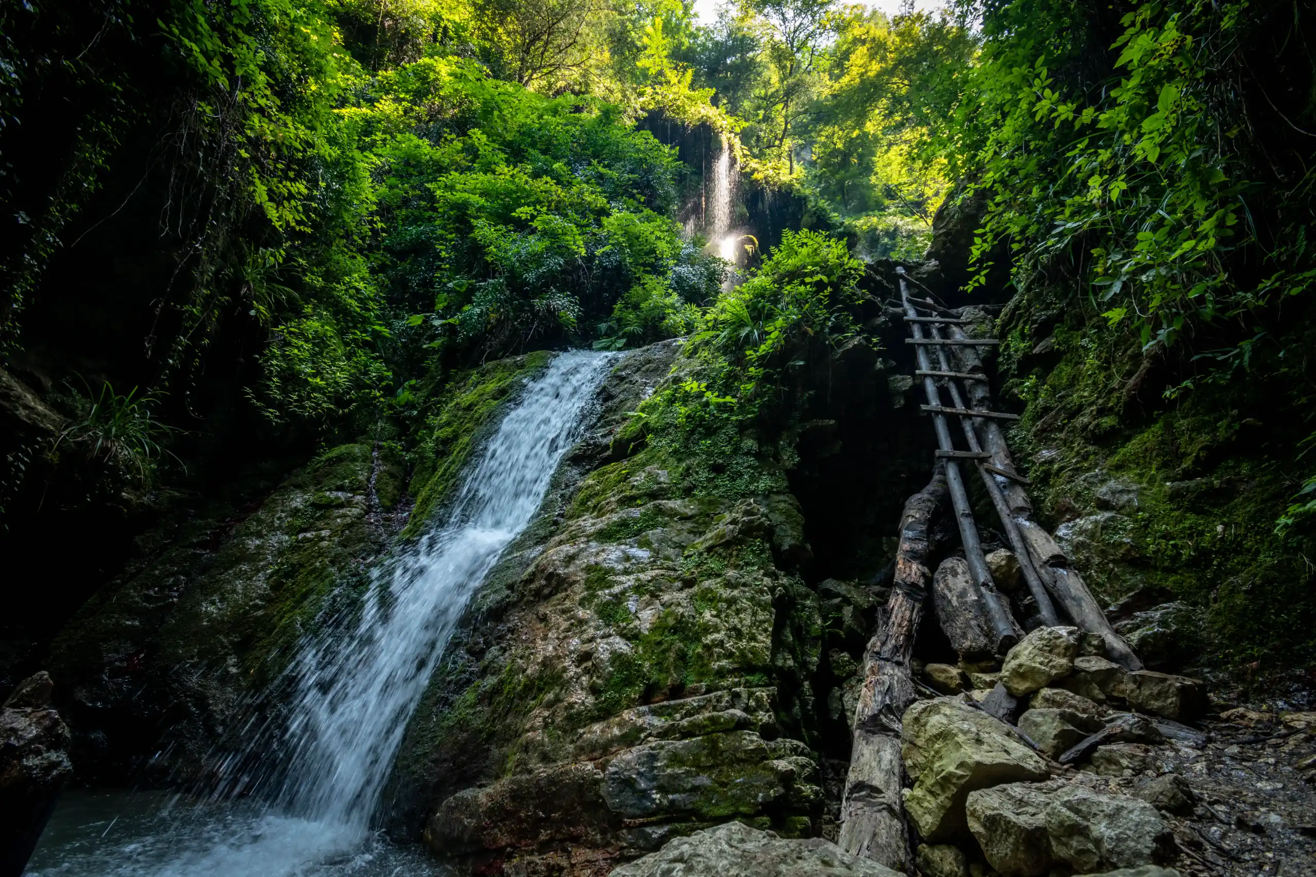 A vertical shot showing a cascading waterfall flowing over mossy rocks alongside a rustic wooden ladder in a lush green forest, with sunlight filtering through the canopy. Photograph by Mohammad Ataei.
