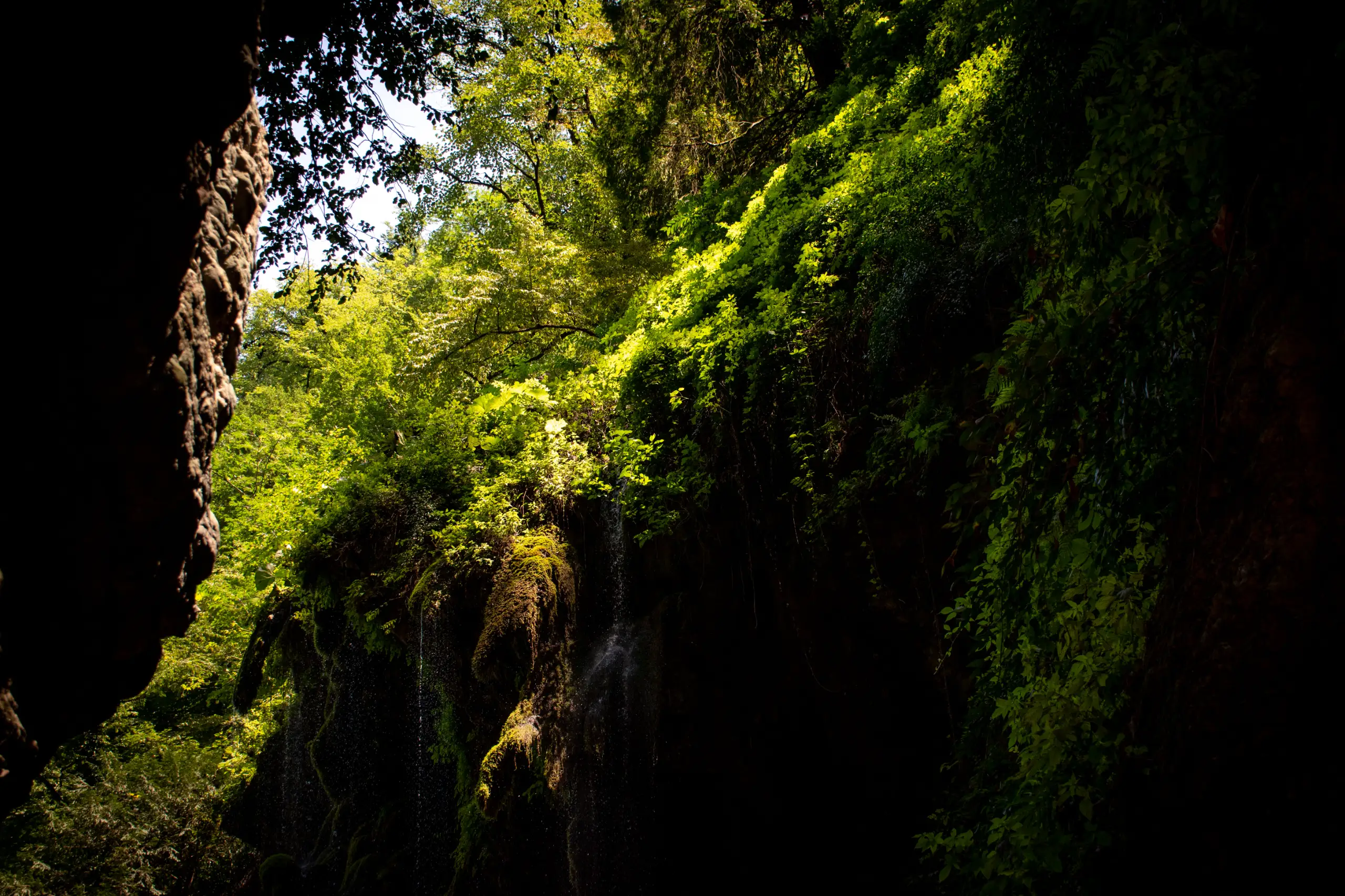 A deep valley with lush green trees and rocky cliffs illuminated by sunlight, framing a natural landscape. Photograph by Mohammad Ataei.