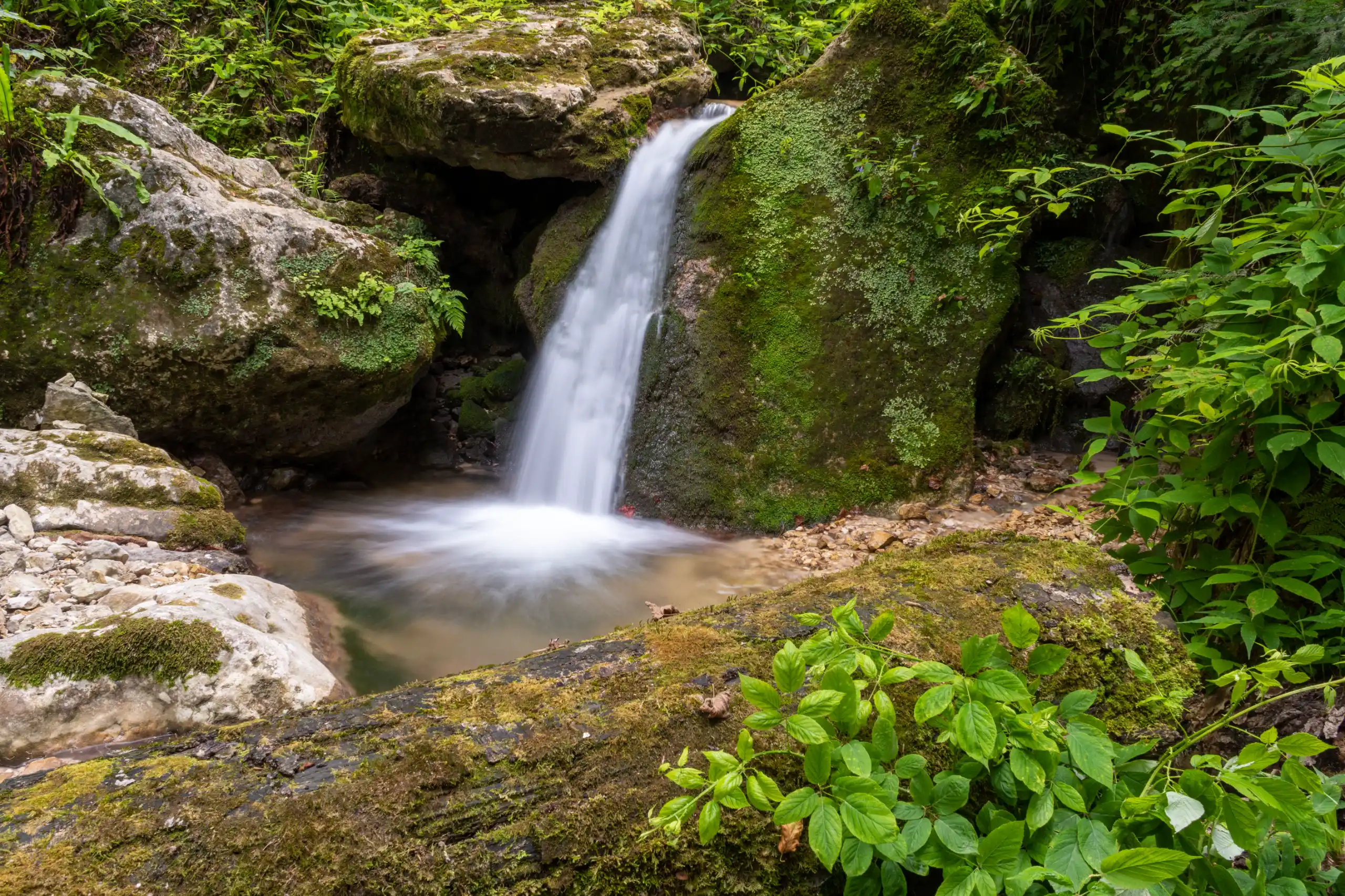 A small waterfall flowing over mossy rocks into a clear pool surrounded by lush green foliage in the forest. Photograph by Mohammad Ataei.