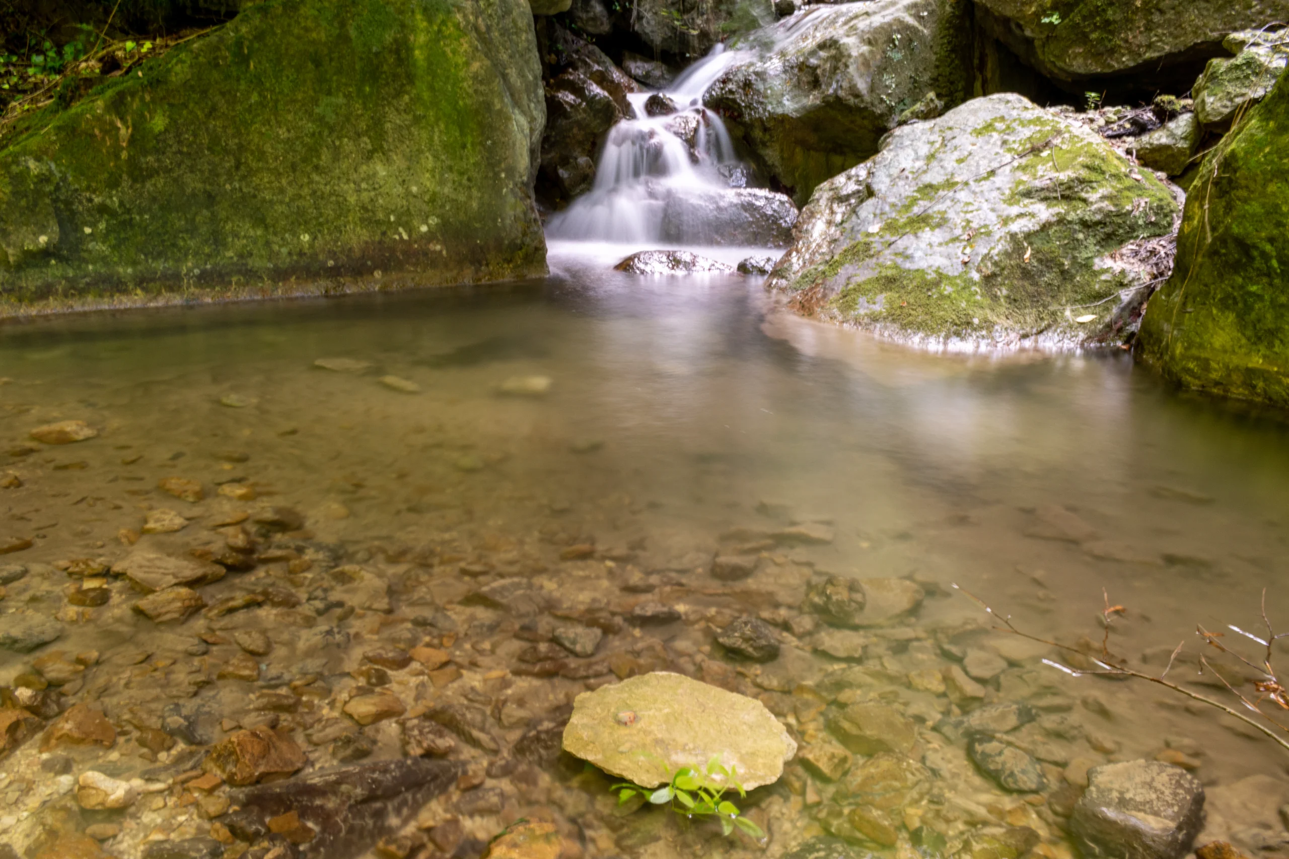 A small waterfall cascades between mossy green rocks into a clear pool with a stony bed in Gorgan, Golestan, Iran. Photograph by Mohammad Ataei.