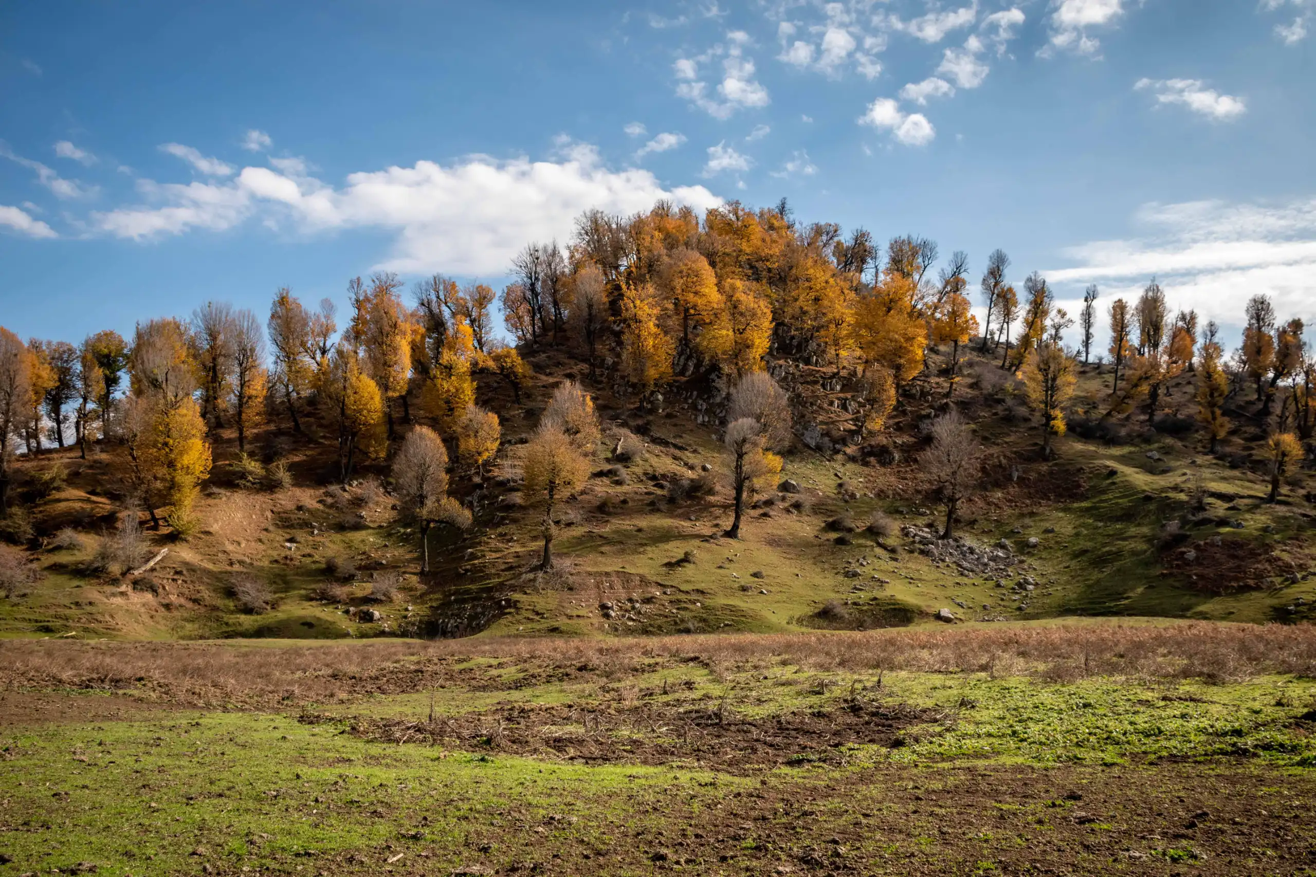 A wide landscape shot of rolling hills and trees with autumn foliage under a partly cloudy blue sky in Markouh Plain, Iran. Photograph by Mohammad Ataei.