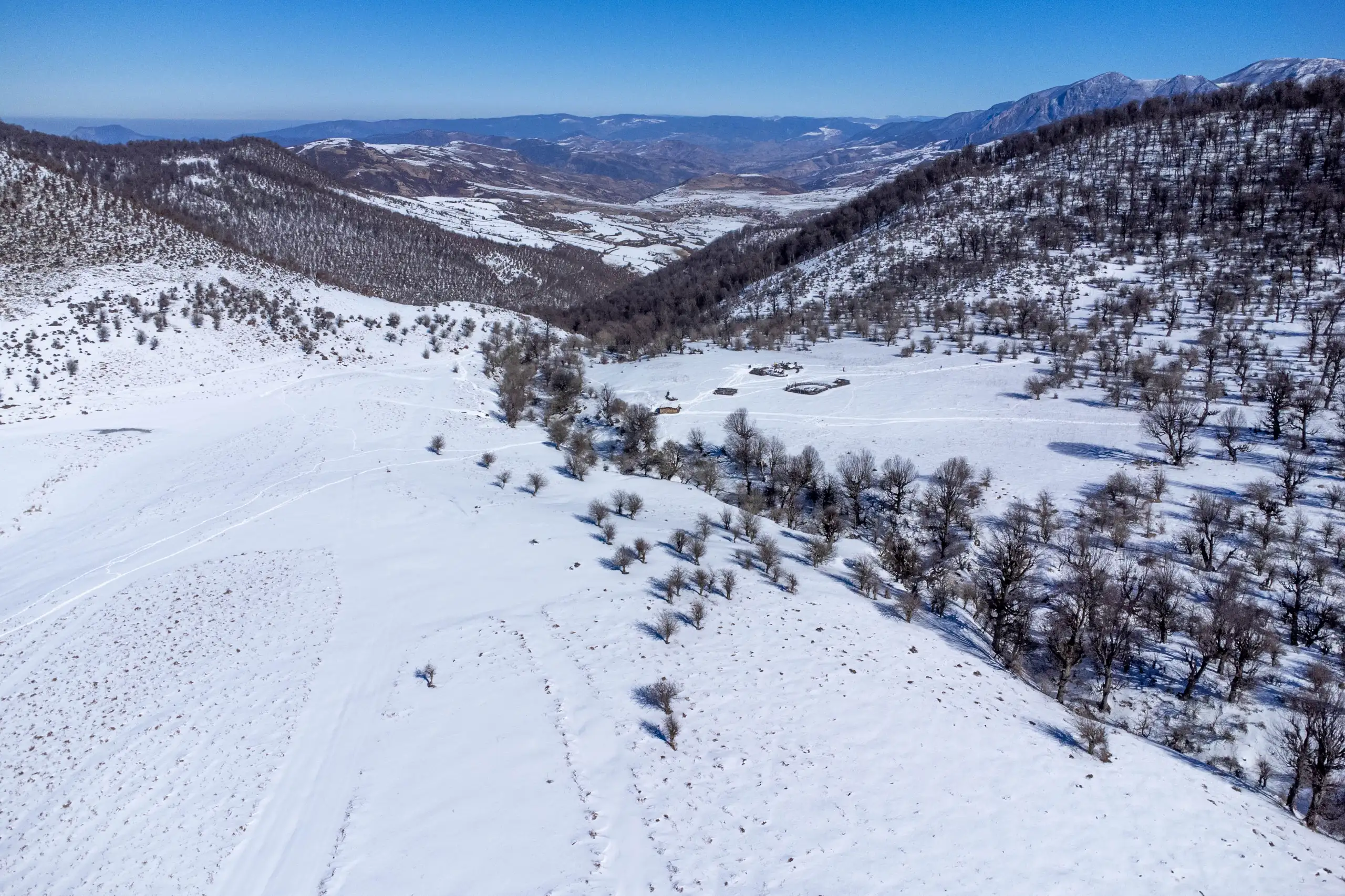 High-angle aerial view of a snow-covered mountainous valley and hills with scattered bare trees under a clear blue sky. Photograph by Mohammad Ataei.