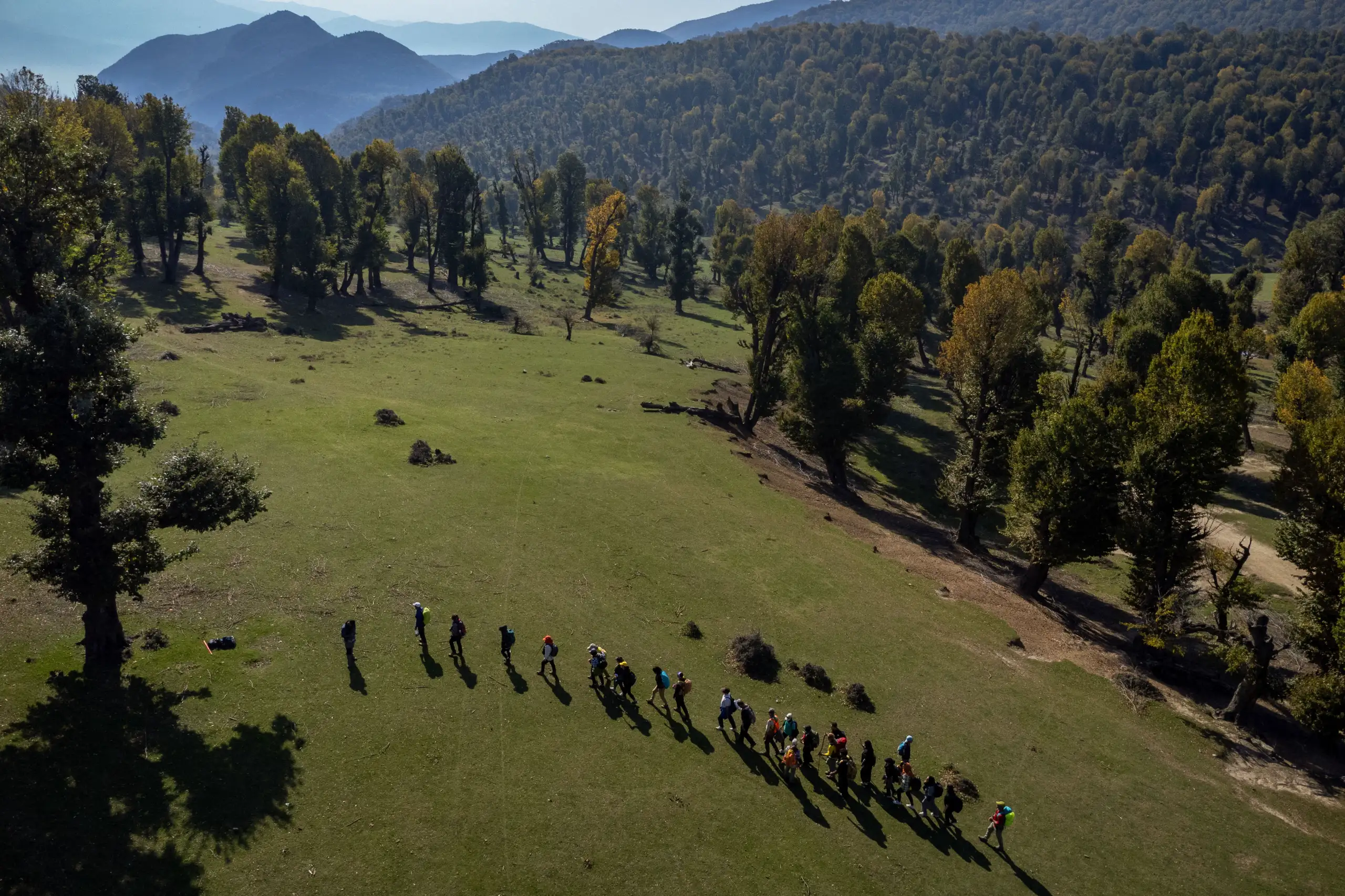 High-angle view of a group of hikers walking across a grassy clearing surrounded by trees in Markouh Plain, Golestan Province. Photograph by Mohammad Ataei.