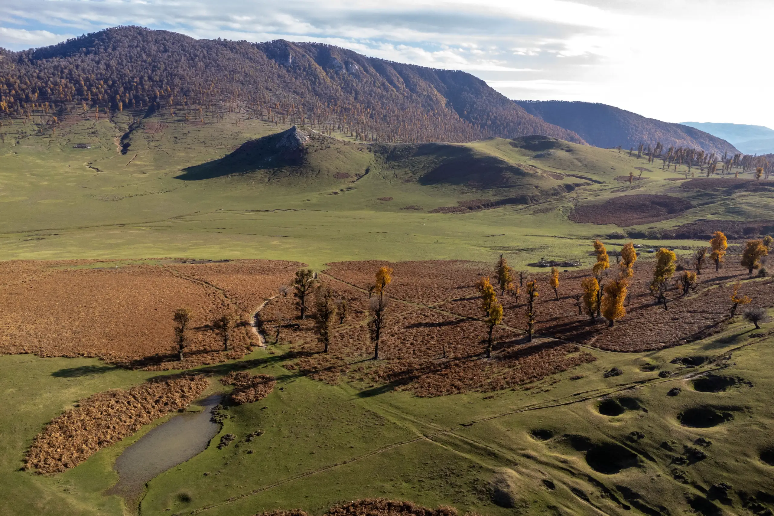 An aerial view of the rolling green and brownish hills of Markouh Plain in Golestan Province, featuring scattered autumn trees and a small pond. Photograph by Mohammad Ataei.