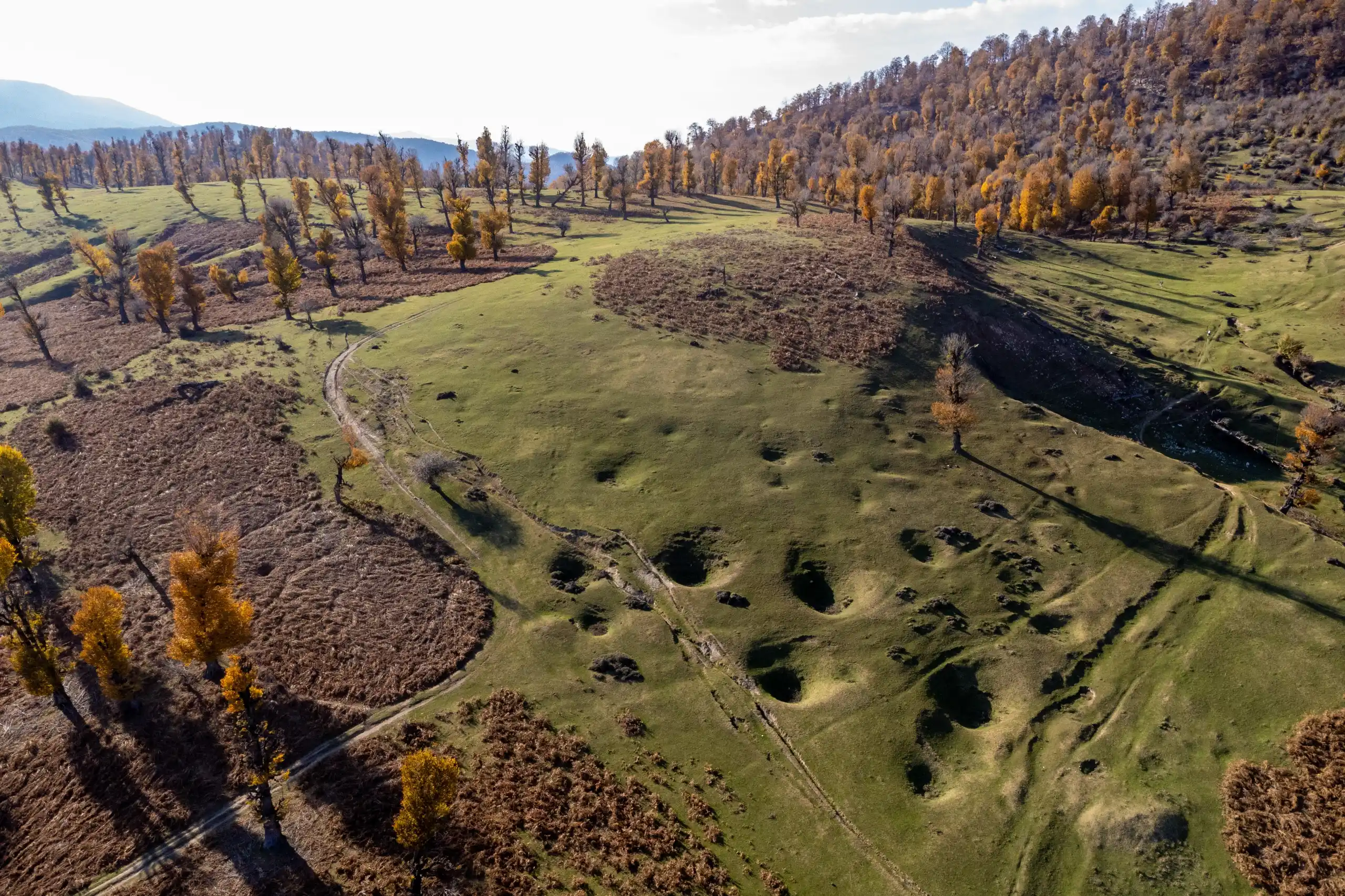 Aerial view of rolling green hills in Markouh Plain, Golestan Province, with scattered autumn trees and dirt tracks under daylight. Photograph by Mohammad Ataei.