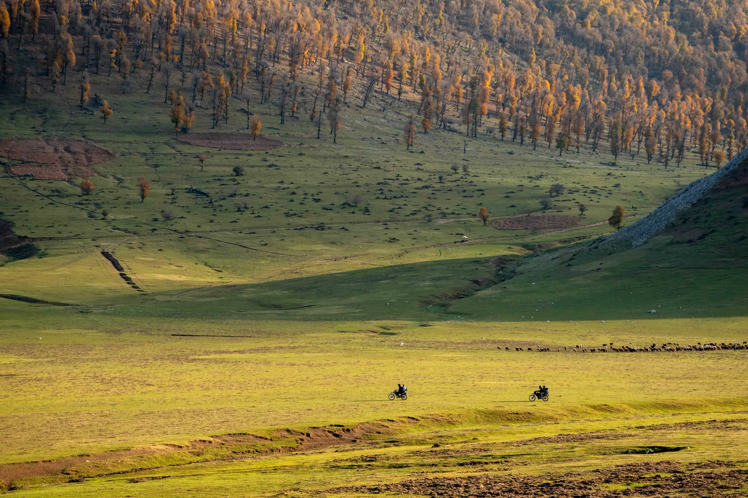 A wide shot of a vast green and golden plain in autumn with rolling hills, a distant forest slope, and two small motorcyclists riding across the field. Photograph by Mohammad Ataei.