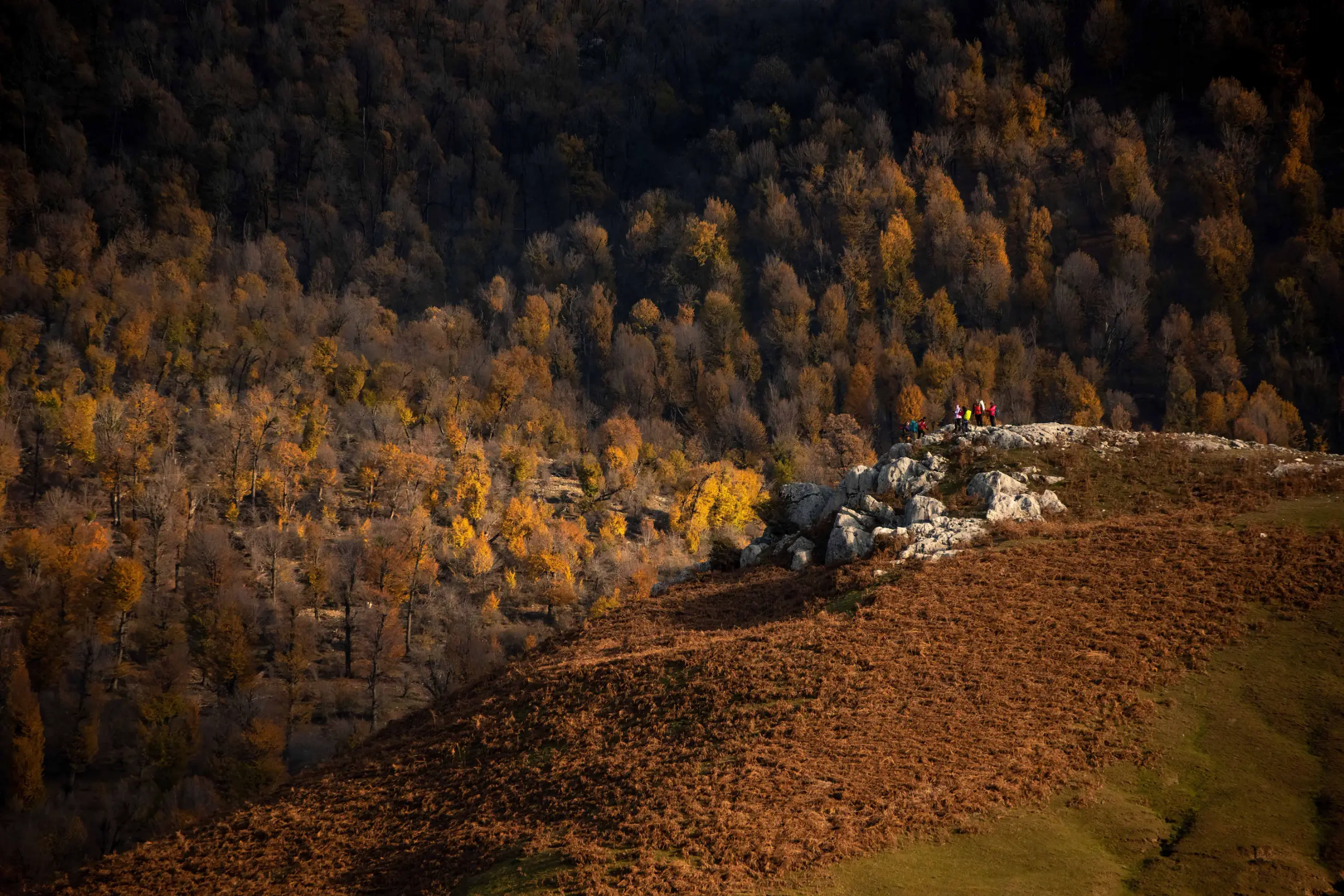 A wide shot shows a rocky cliff and a grassy slope overlooking a vast forest with golden and brown autumn trees under natural light. Photograph by Mohammad Ataei.
