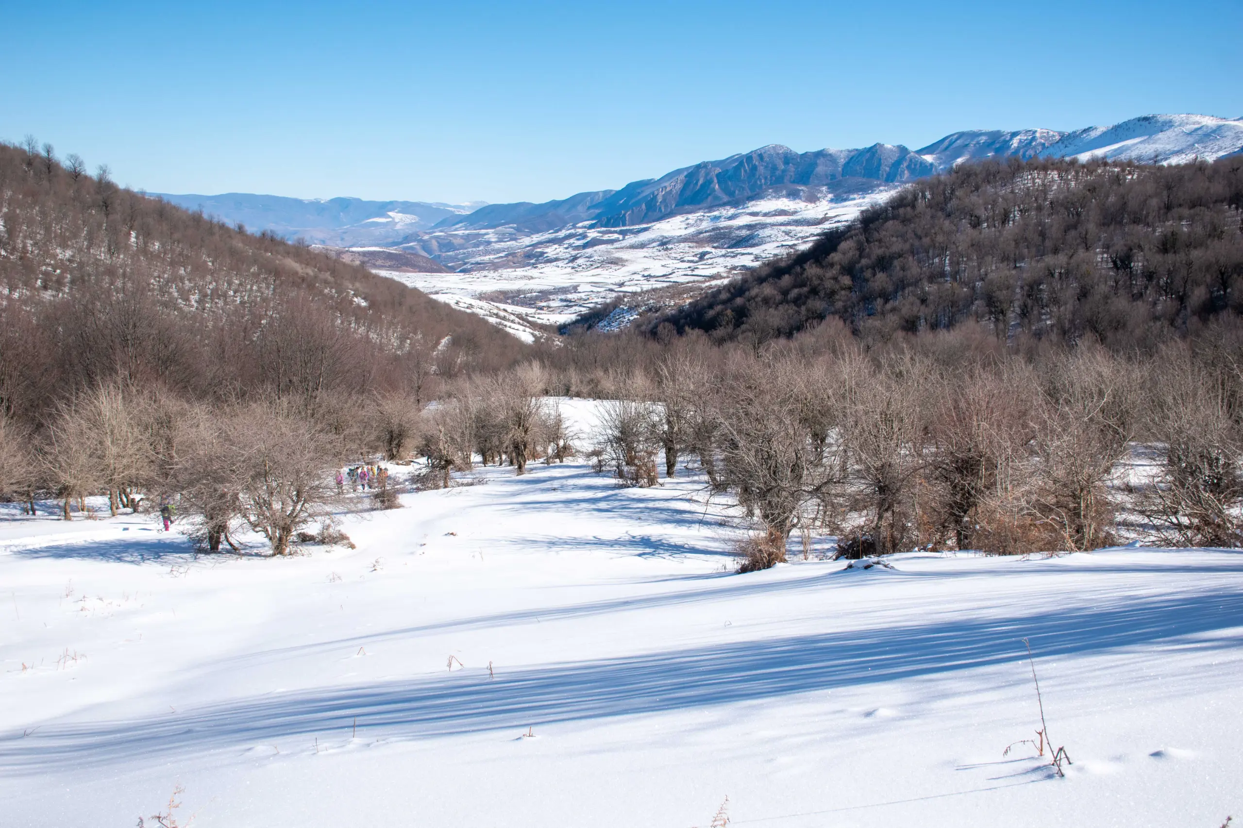A wide snow-covered valley surrounded by bare trees and rolling hills under a bright blue sky during winter. Photograph by Mohammad Ataei.