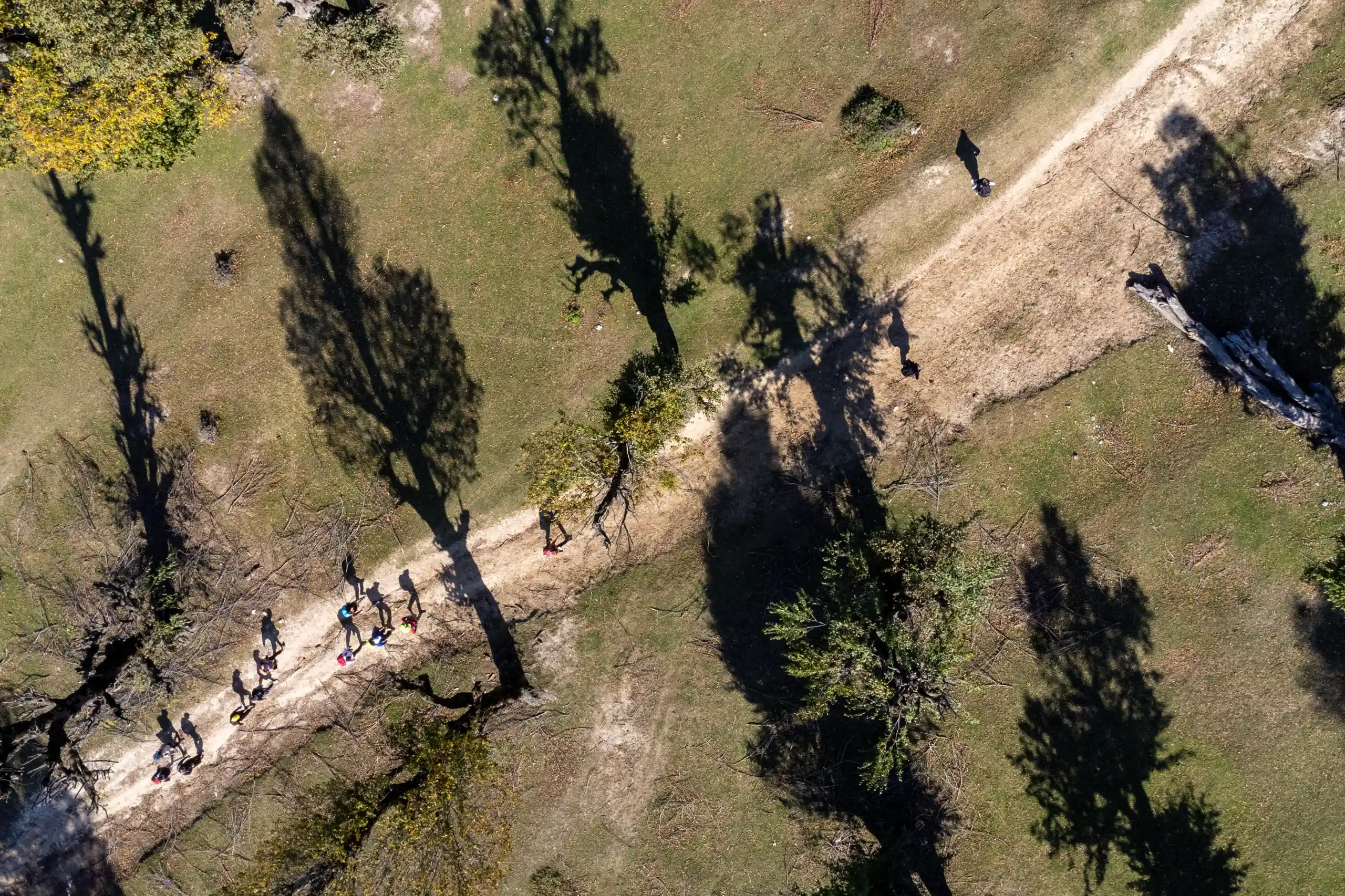 An aerial view shows a winding dirt path through a grassy landscape in Markouh Plain, casting long tree shadows in the autumn sunlight. Photograph by Mohammad Ataei.