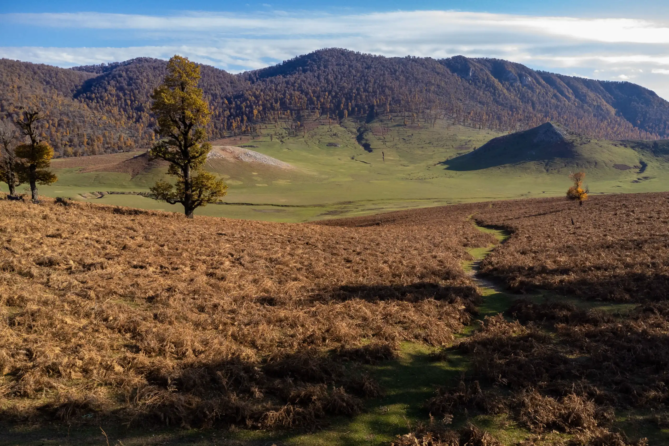 A wide angle landscape photograph of Markouh Plain in autumn, featuring golden brown foliage in the foreground, a green valley, scattered trees, and forested mountains under a cloudy sky. Photograph by Mohammad Ataei.
