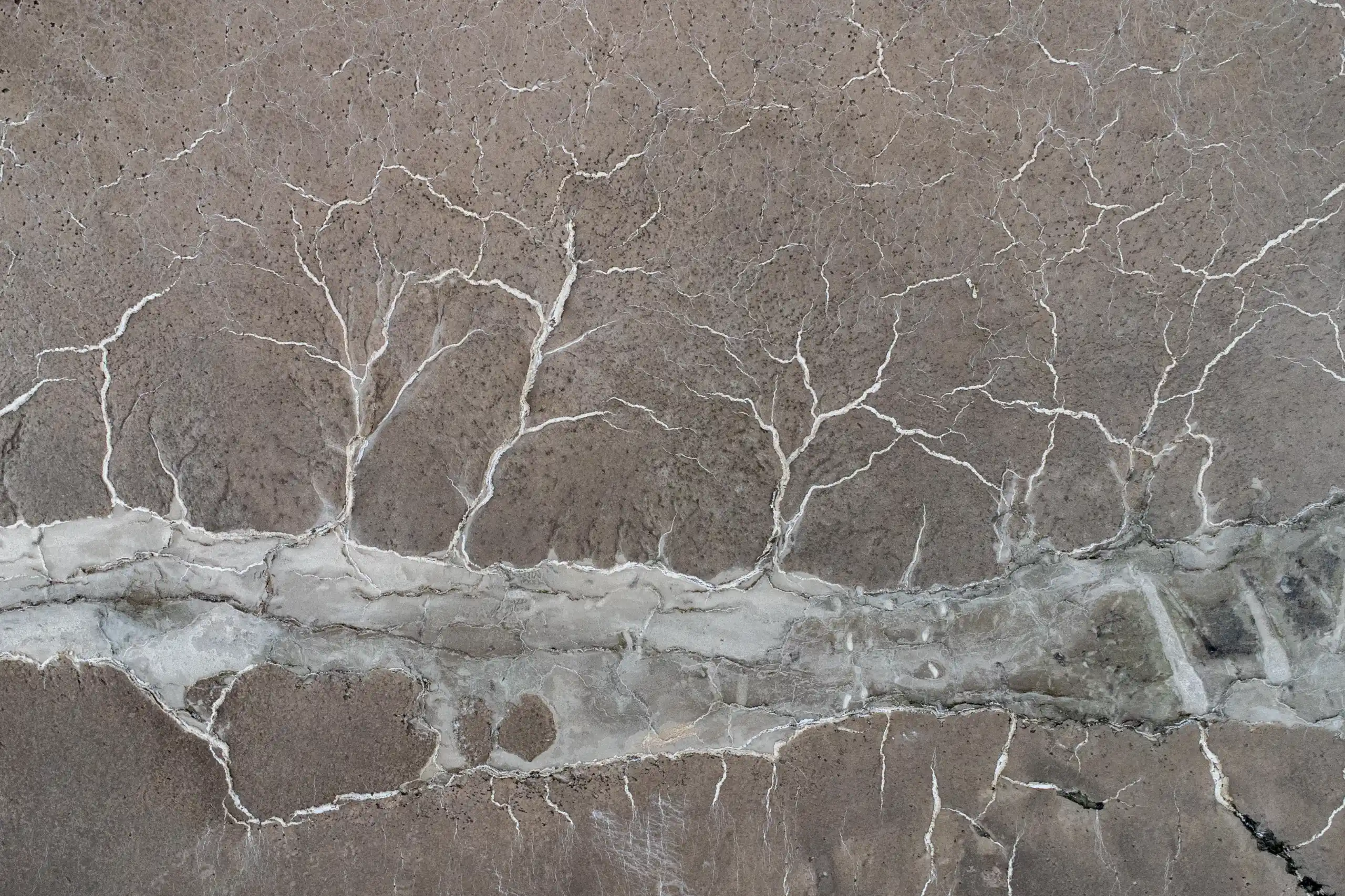 An aerial shot showing a cracked, dry terrain with white salt deposits resembling branching patterns along the shore of Lake Urmia. Photograph by Mohammad Ataei.
