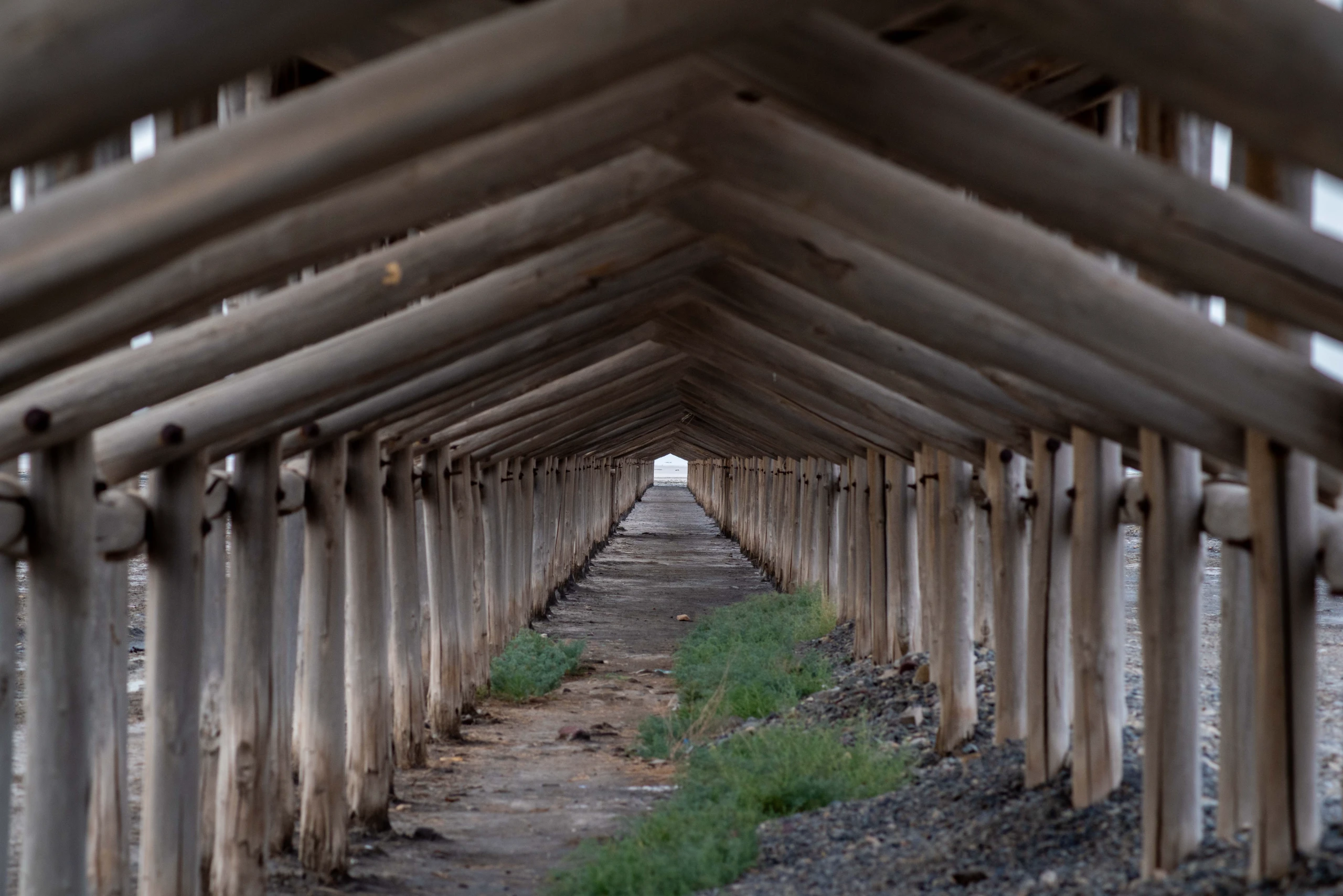 A symmetrical view looking down a long, covered wooden pier structure with vertical posts and angled beams forming a tunnel-like perspective, with sparse green vegetation along the ground path. Photograph by Mohammad Ataei.