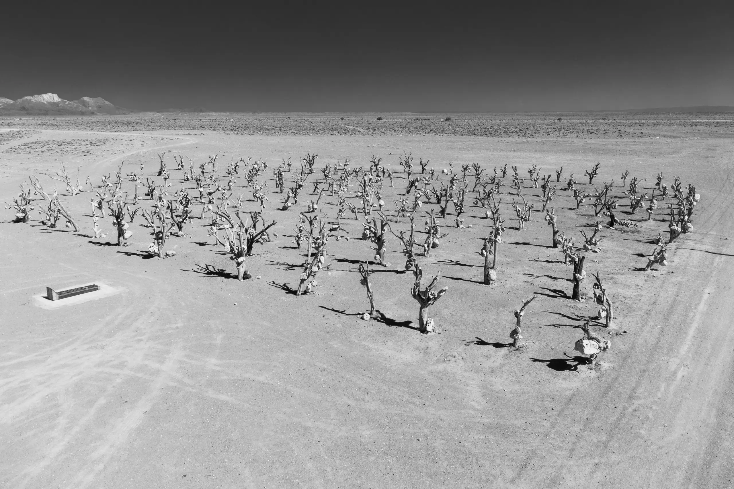Stone and Mourning: The Legacy of Drought