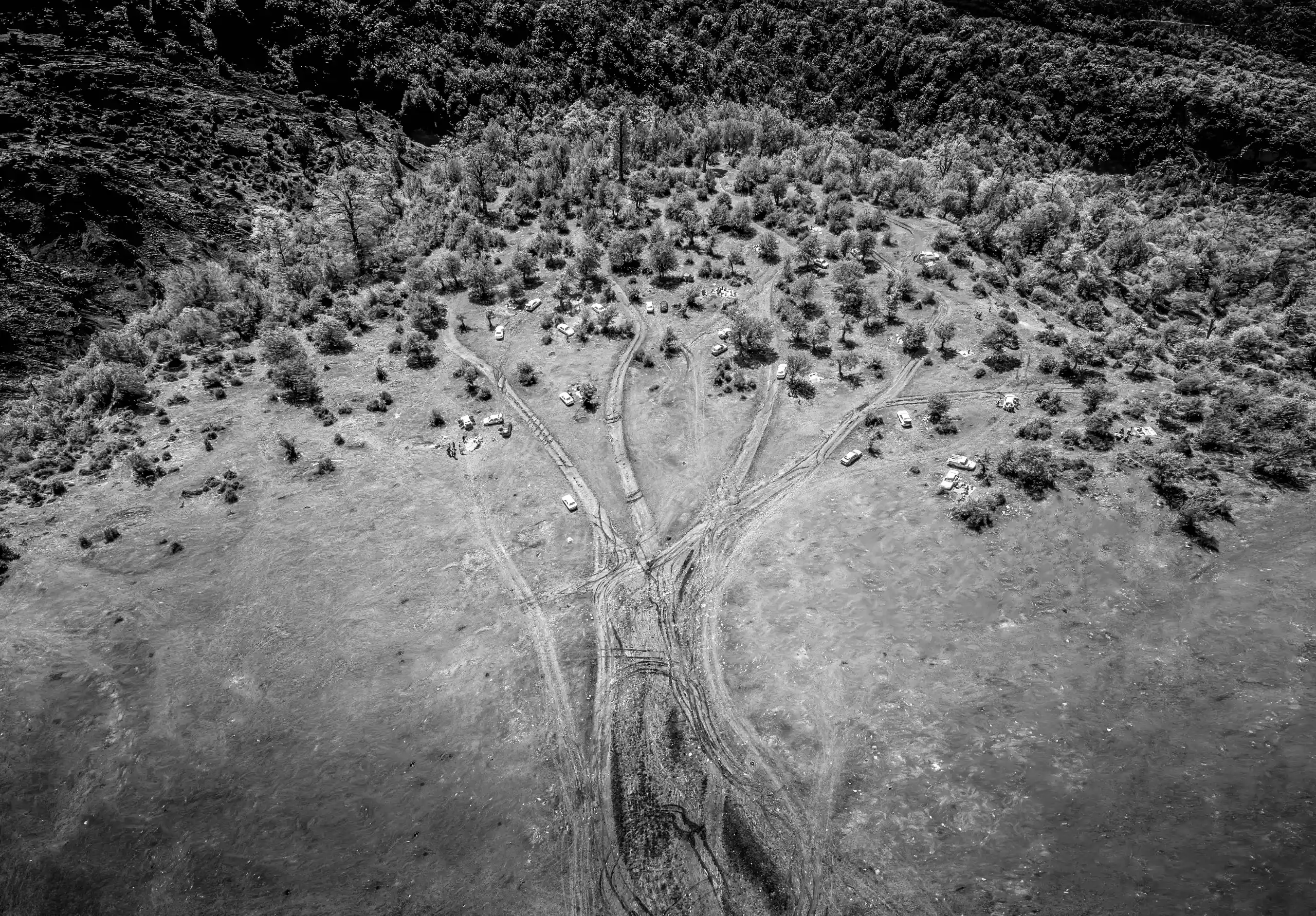 An aerial view showing environmental degradation, including deforestation and vehicle tracks from irresponsible tourism, in Olang Forest, Golestan Province, Iran. Photograph by Mohammad Ataei. - Mono