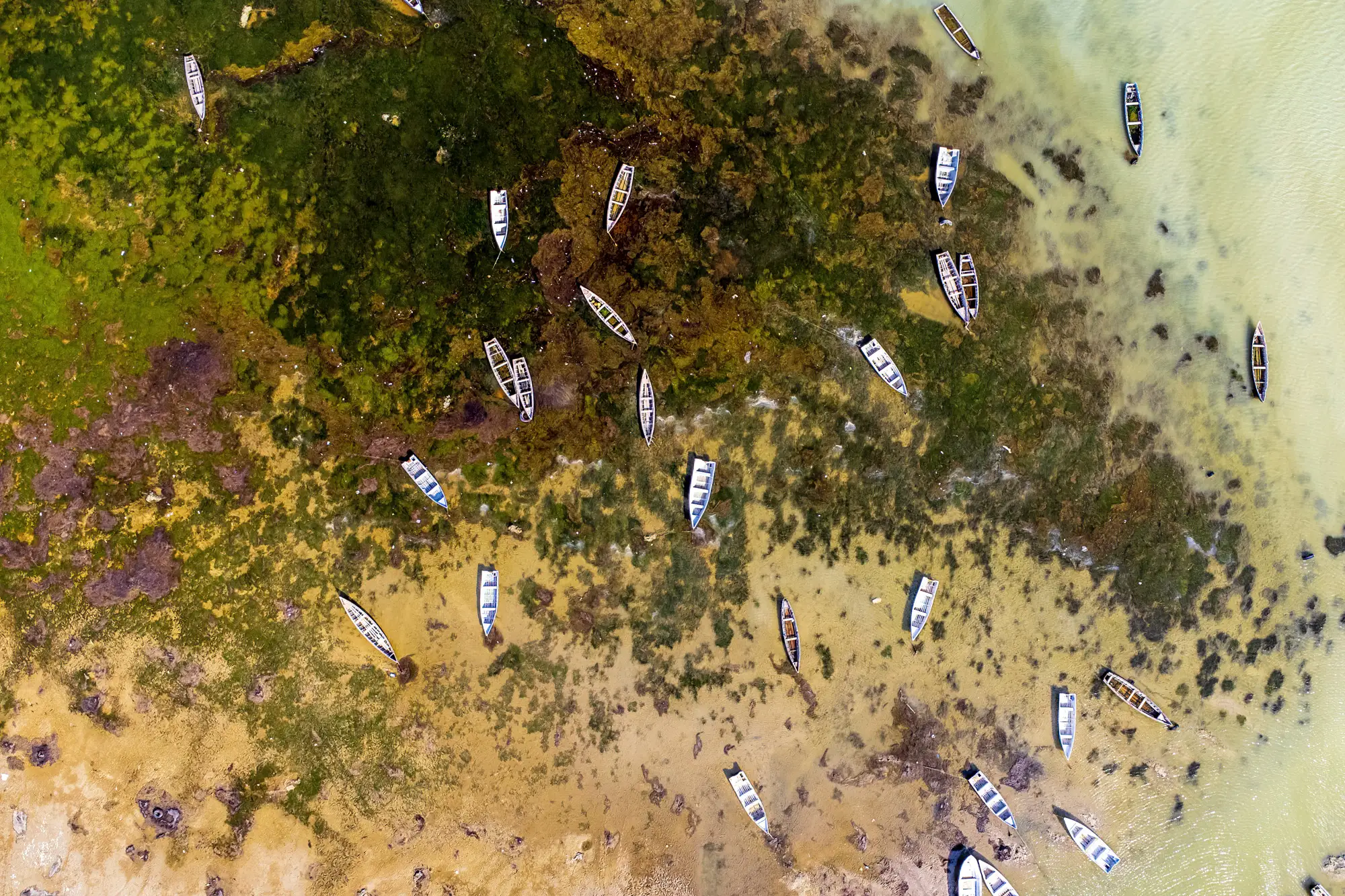 The Stranded Fleet