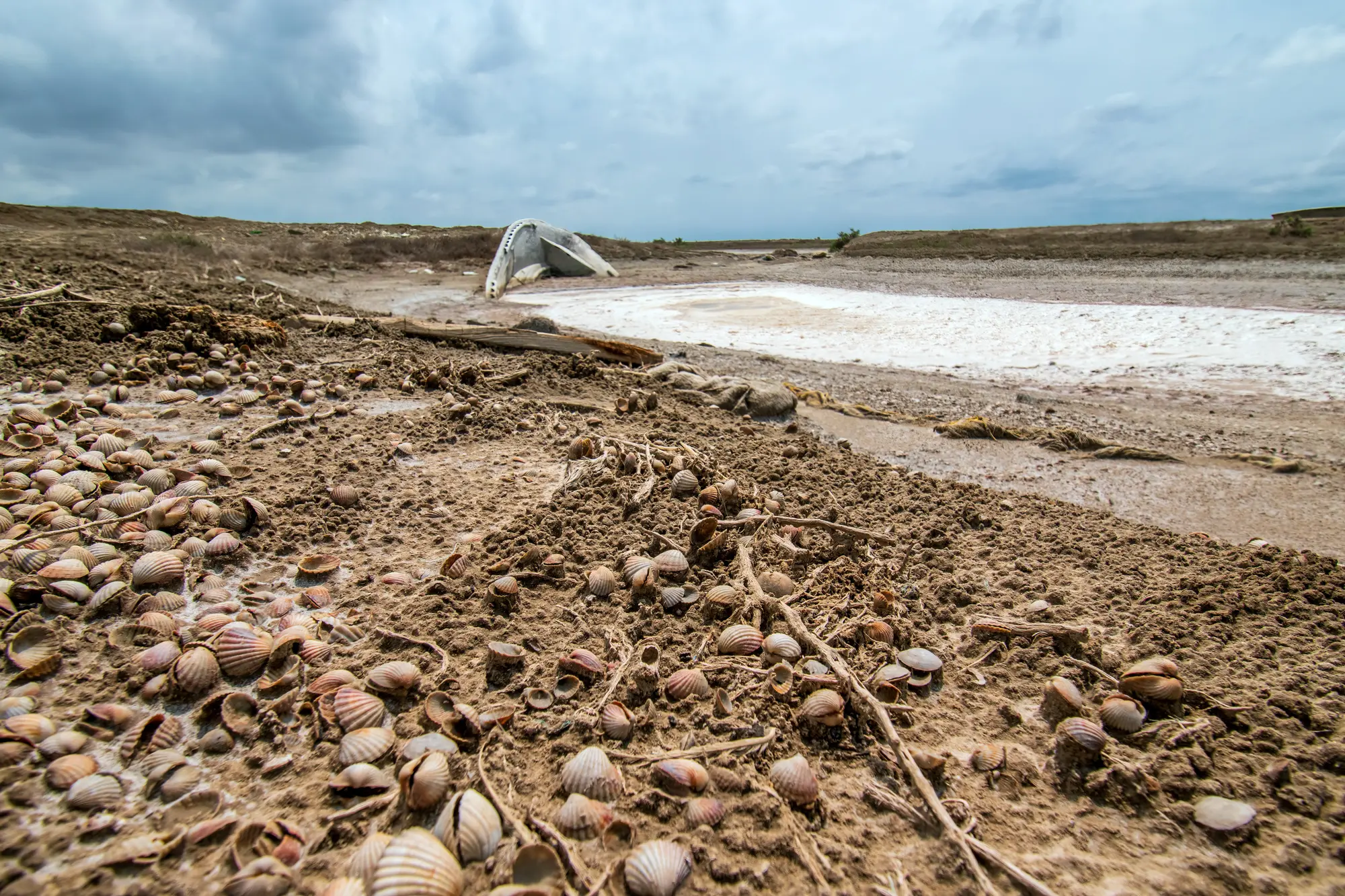 Salt and Mud