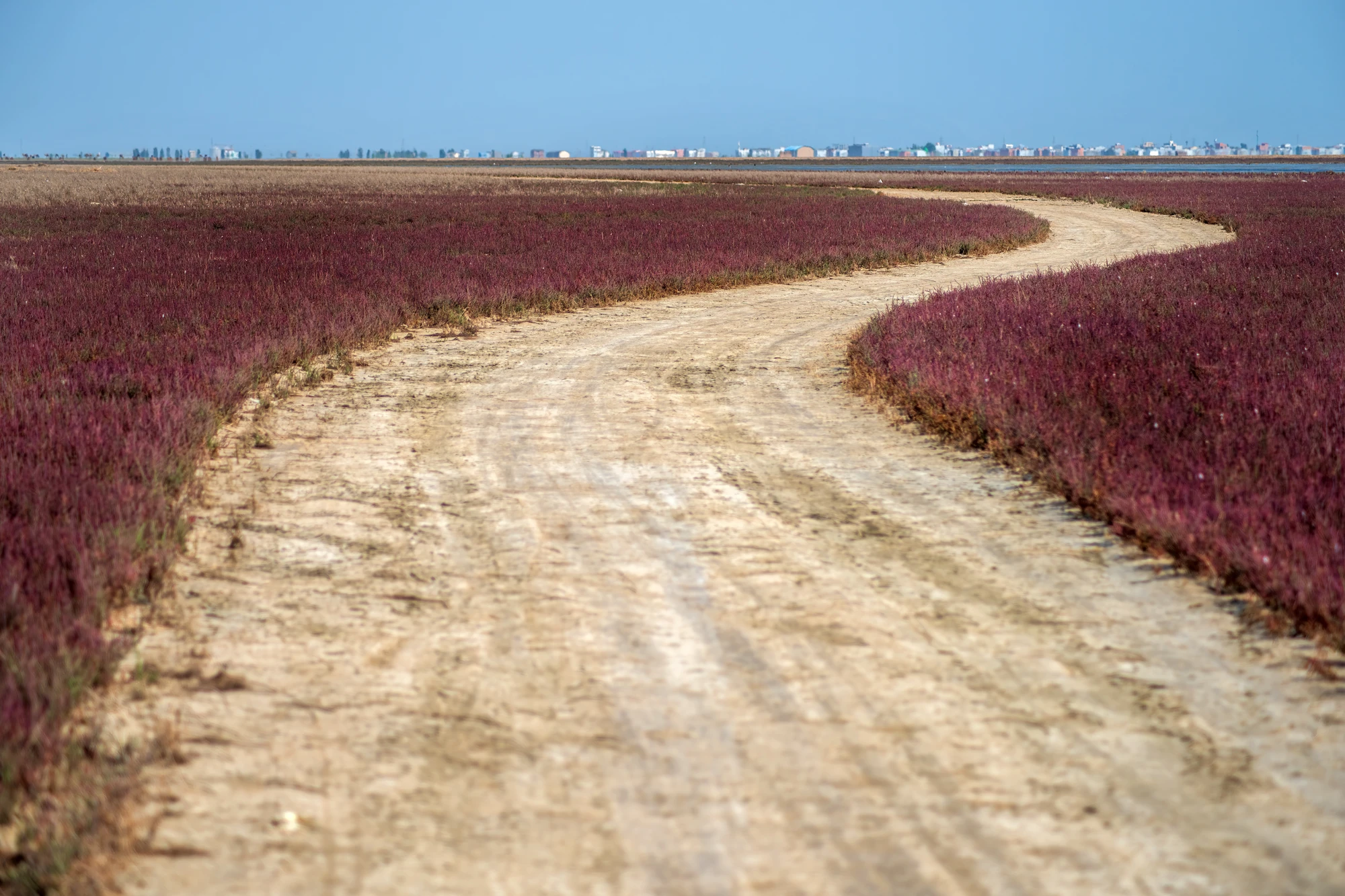 The New Road to the Sea