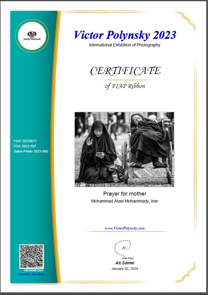 Certificate of Excellence