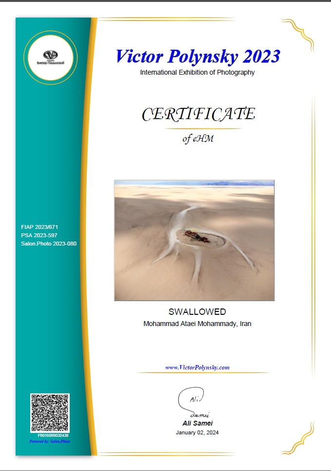 Certificate of Excellence